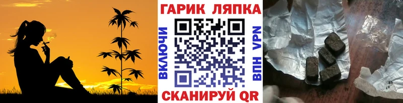 ГАШ Premium  Струнино 
