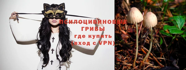 ALPHA PVP Ладушкин