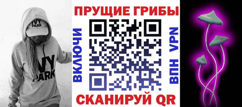 Галлюциногенные грибы Psilocybe  Струнино 